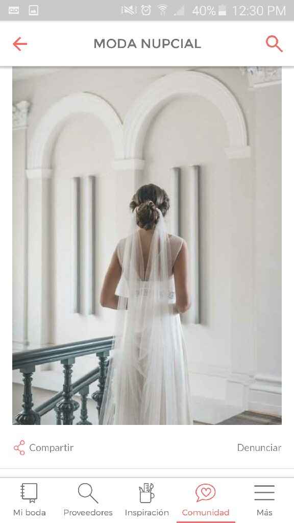 Velos caídos ❤️ - 1