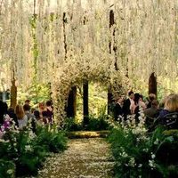 Decoración inspirada en la película Crepúsculo :3