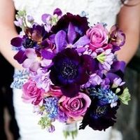 Ramo morado