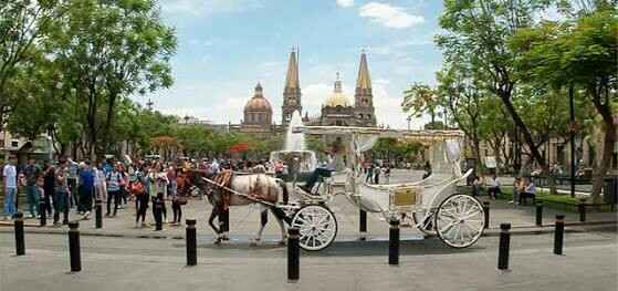 Transporte alternativo - 1