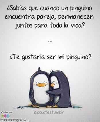 Para toda la vida