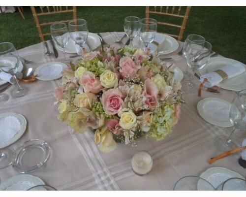 Beige con blanco