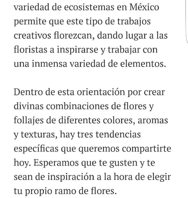 Follaje y más follaje las nuevas tendencias para el 💐 - 3
