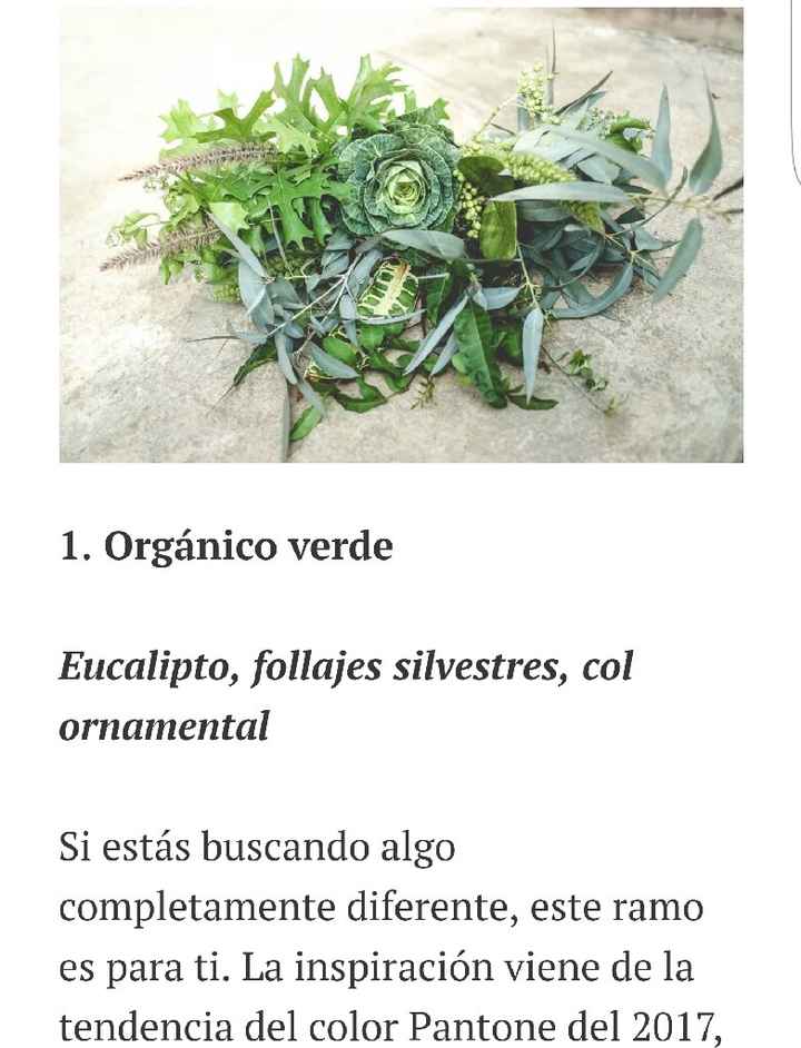 Follaje y más follaje las nuevas tendencias para el 💐 - 4