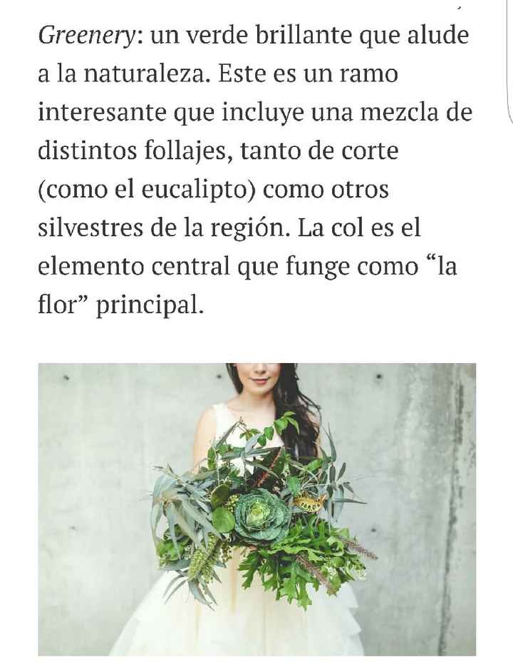 Follaje y más follaje las nuevas tendencias para el 💐 - 5