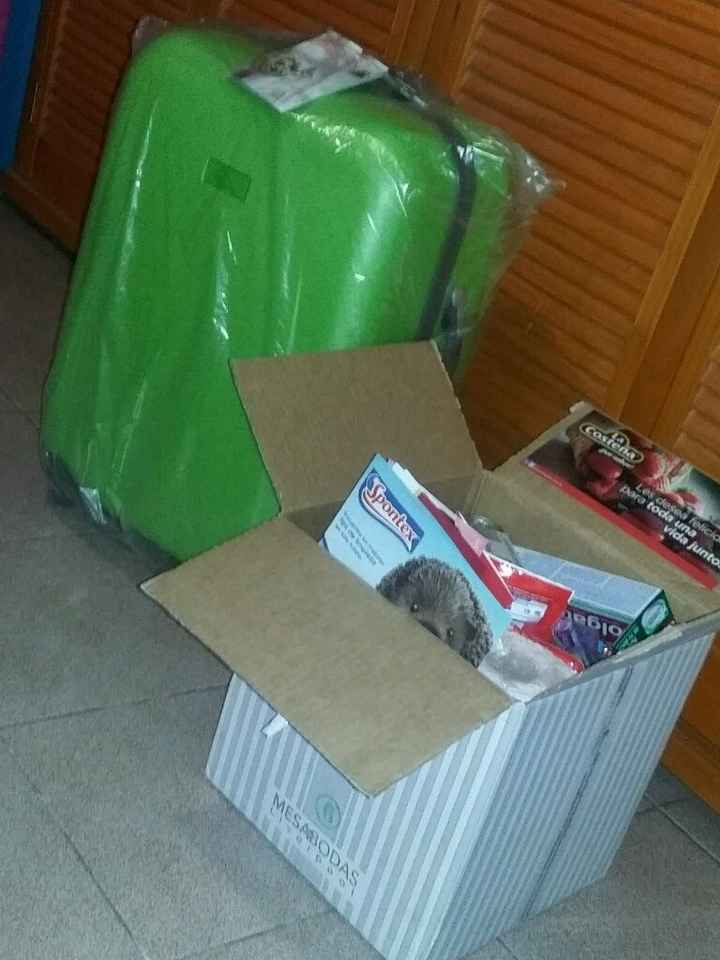 Mesa de regalos liverpool nos dieron regalos :) - 1