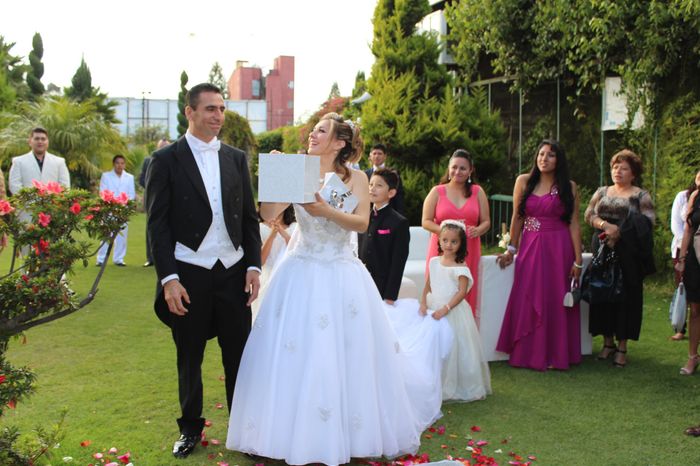 Liberacion de mariposas