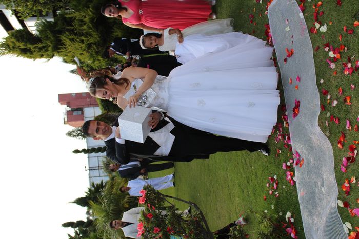 Liberacion de mariposas