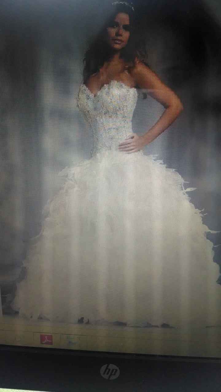 Vestidos con plumas - 1