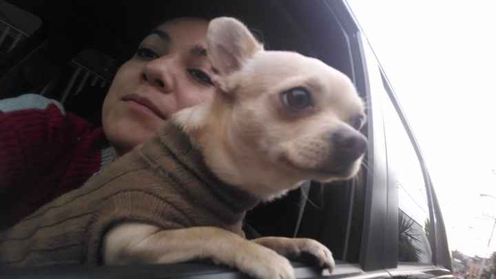 La foto de tu mascota! - 2