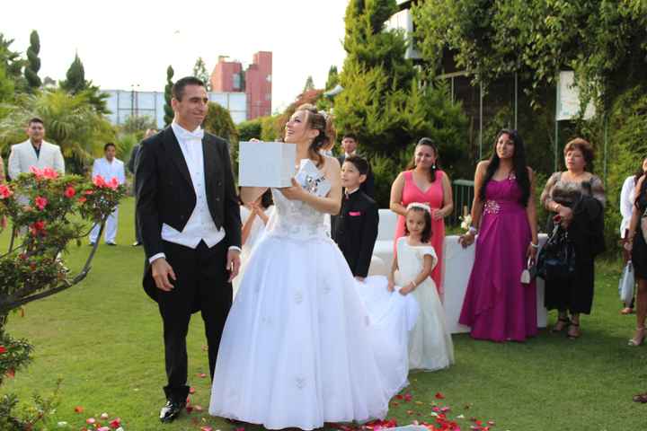 Liberacion de mariposas