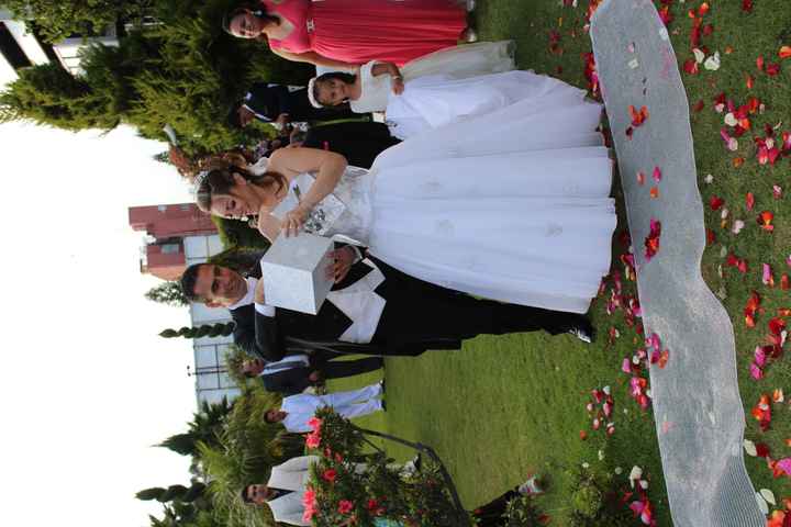 Liberacion de mariposas