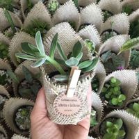 Mis recuerdos de ensueño #fernanda - 2