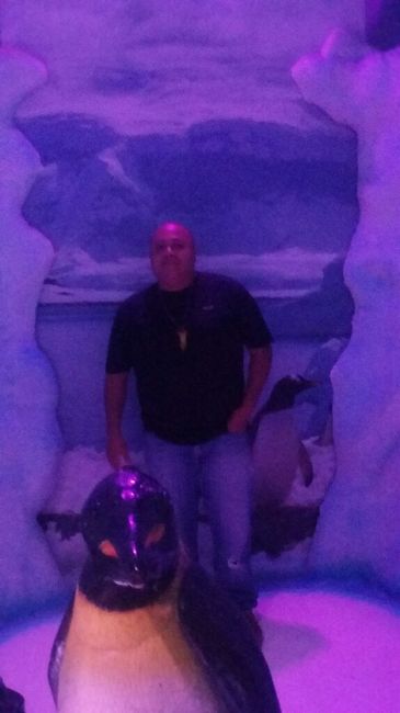 Un poco más tranquilos - 3