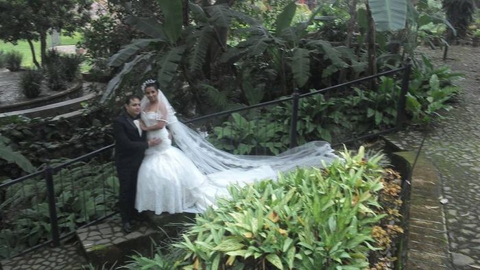 fotos