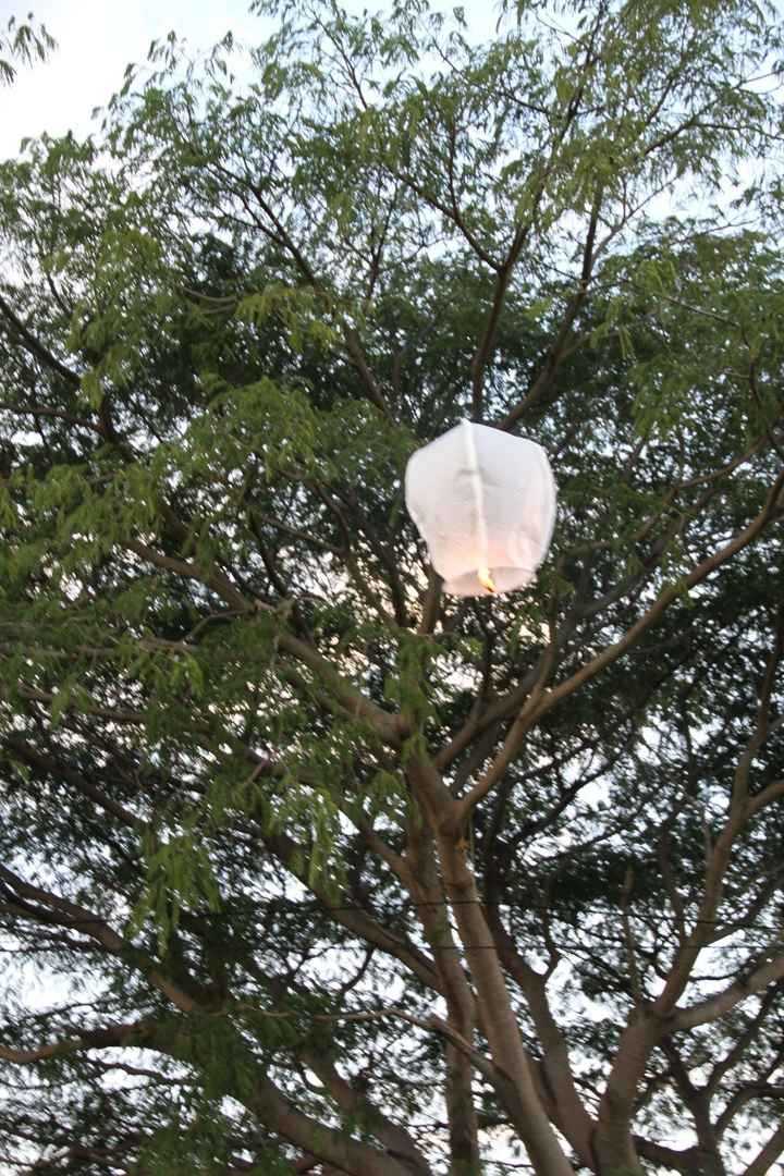 lindo