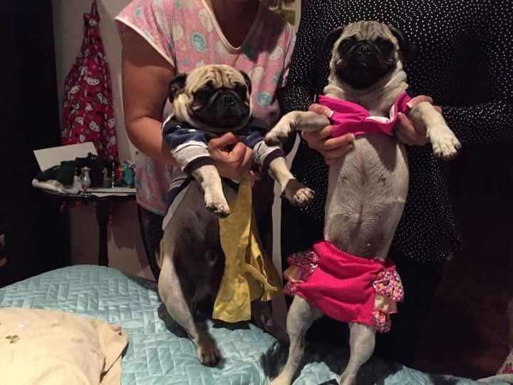 Mi topper lo ame!!!!! - 1