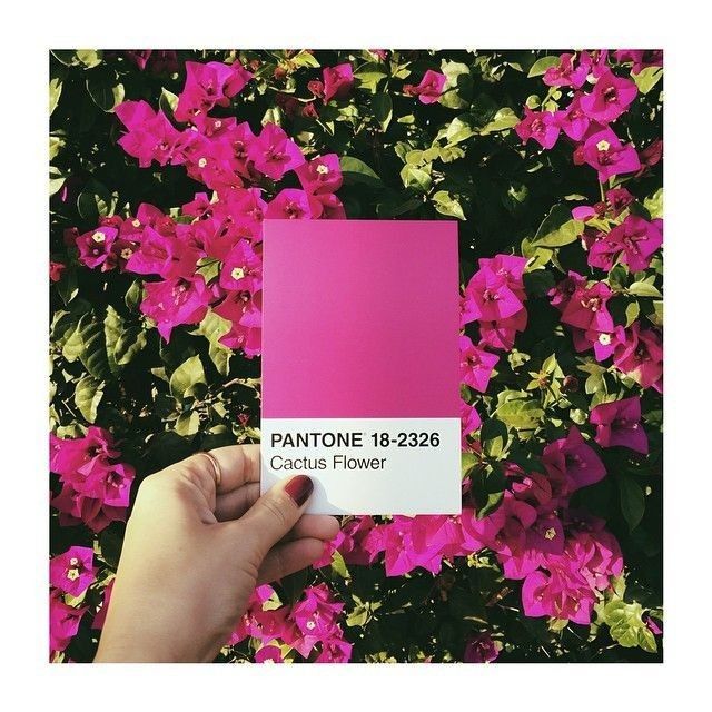 Pantone