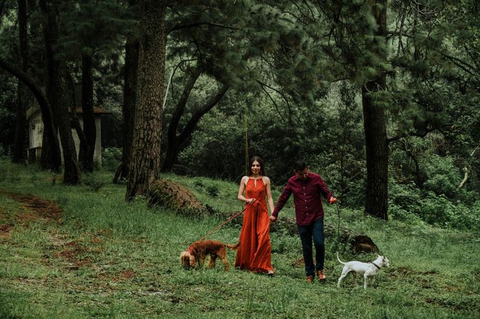 MASCOTAS en la relación😺🐶: ¿Sí o No? 1