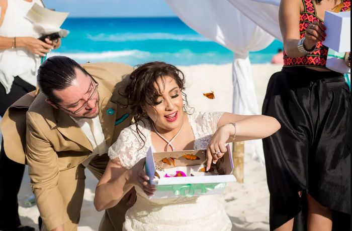 Mariposas en la boda 🦋🦋🦋 1
