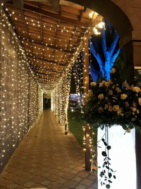 Luces para bodas navideñas ¿Cuál es tu favorita?🎄☃️ 2