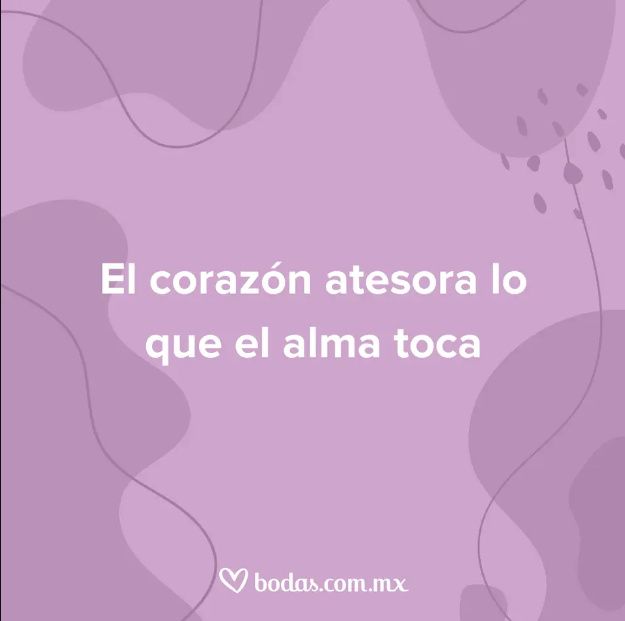 Dedícale una frase de whatsapp a tu amorcito. Aquí te dejamos unas opciones. 👇 9