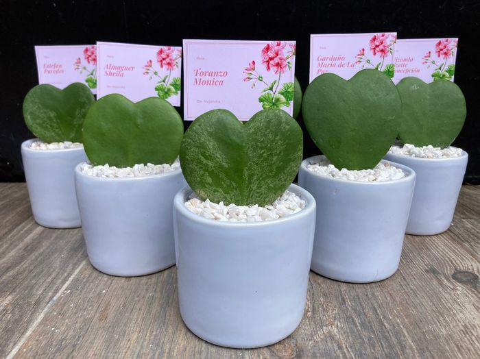 Regalos DIY económicos para tu pareja en San Valentín ❤️ 6