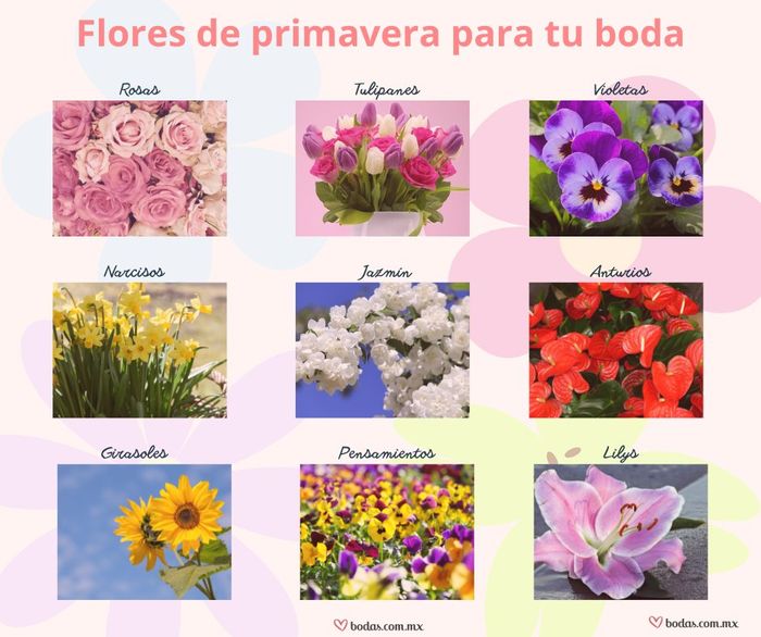 Flores para decorar tu boda en primavera (marzo-junio) 🌻 - 1