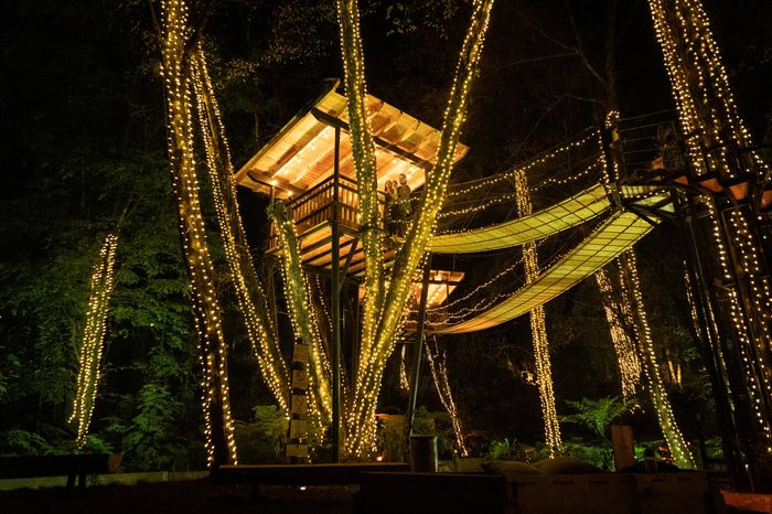 3 Casas de árbol para festejar su aniversario de bodas ❤️ - 1