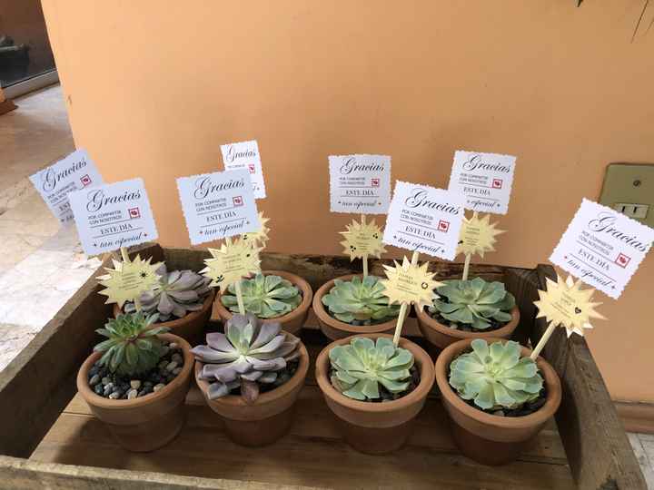 Plantitas como recuerdos 🌷 - 1