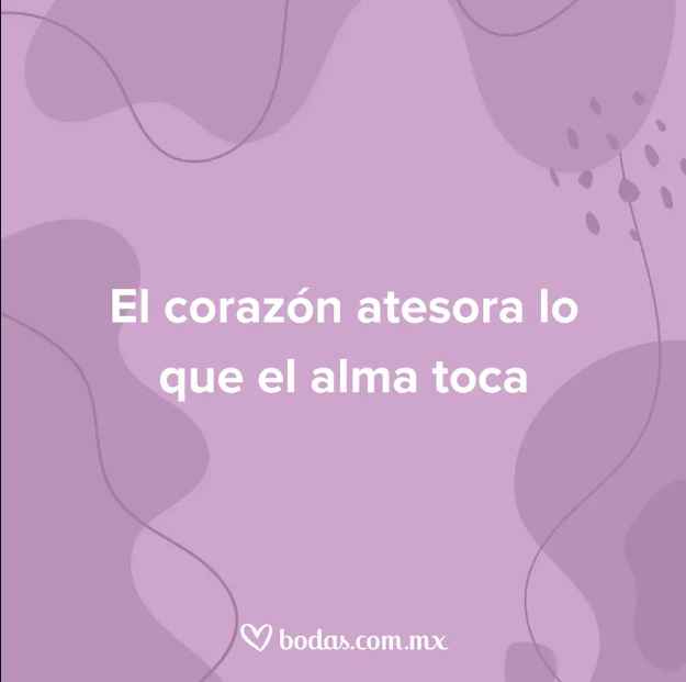 Dedícale una frase de whatsapp a tu amorcito. Aquí te dejamos unas opciones. 👇 - 9