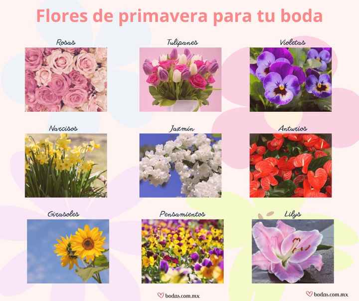 Flores para decorar tu boda en primavera (marzo-junio) 🌻 - 1