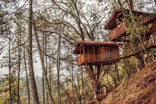 3 Casas de árbol para festejar su aniversario de bodas ❤️ - 2