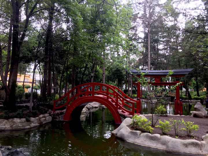 5 lugares para sesiones de fotos en pareja en CDMX 📸 - 3
