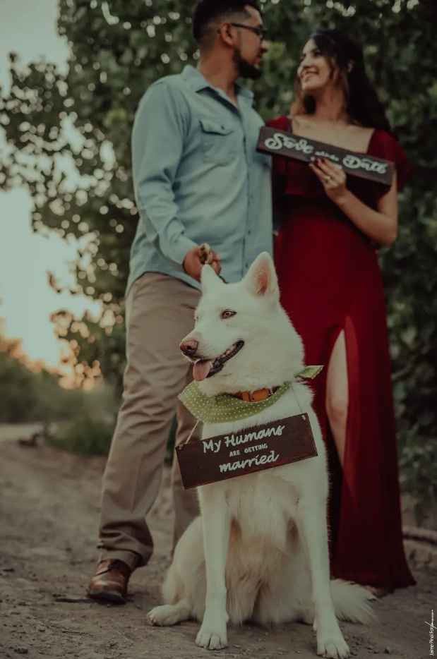 5 frases para incluir en tu Save the Date ❤️📸 - 3