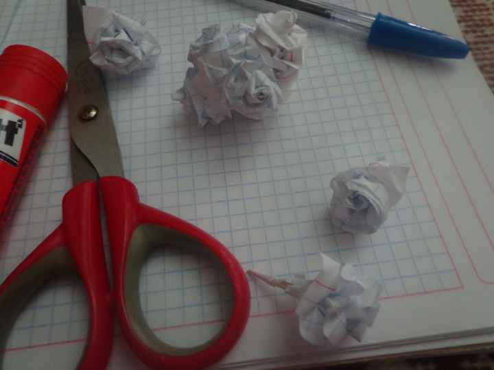 Experimentando con flores