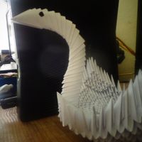 Cisne*