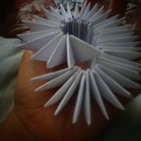 base de cisne