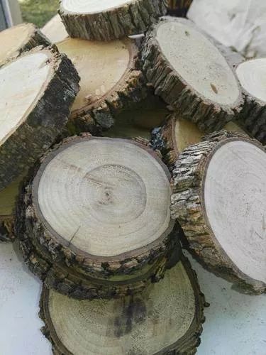 ¿  Dónde puedo conseguir rodajas de madera ? 1