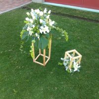 Dudas para principiantes - 1