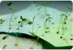 Organizar una boda ecológica " las invitaciones- parte 1" - 2