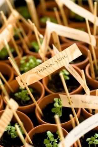 Organizar una boda ecológica "detalles que harán la diferencia" - 1