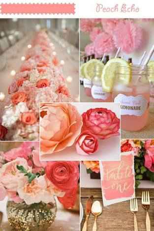 Colores tendencia 2016: peach echo - 4