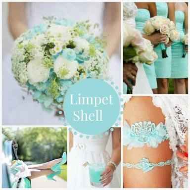 Colores tendencia 2016:limpet shell - 3