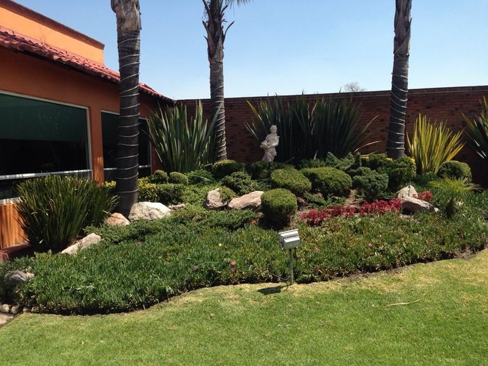 Hermoso jardín!!! es justo lo que buscábamos!!! - 3