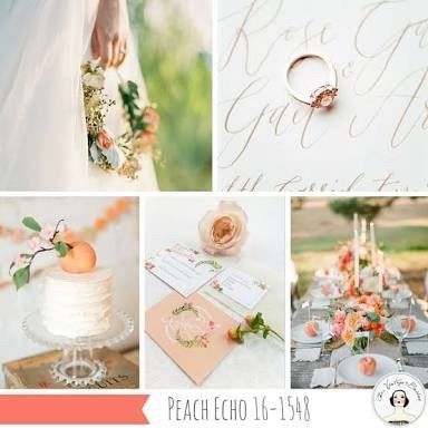 Colores tendencia 2016: peach echo - 7
