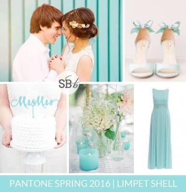 Colores tendencia 2016:limpet shell - 7