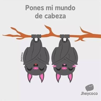 Frases de amor ilustradas (parte 2) - 4