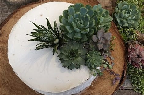 Pasteles tan únicos que te robarán el aliento... - 7