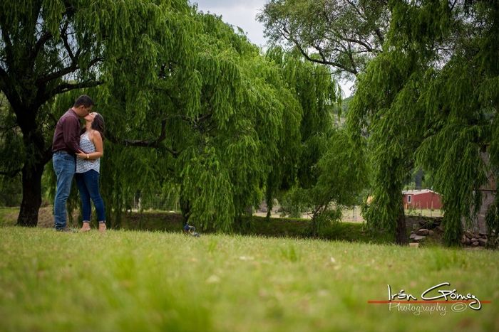 Save the date o trash the dress? - 2